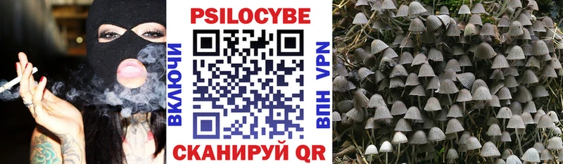 Галлюциногенные грибы Psilocybine cubensis  даркнет сайт  мега сайт  Волгоград 
